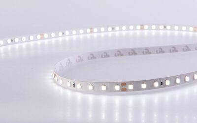 D8120-24V-8mm