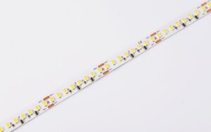 DS8160-24V-10mm-WW