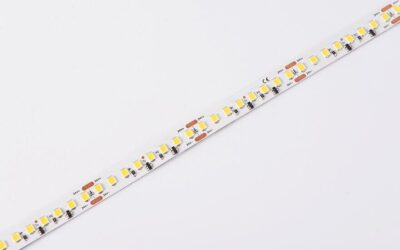 DS8160-24V-10mm-WW