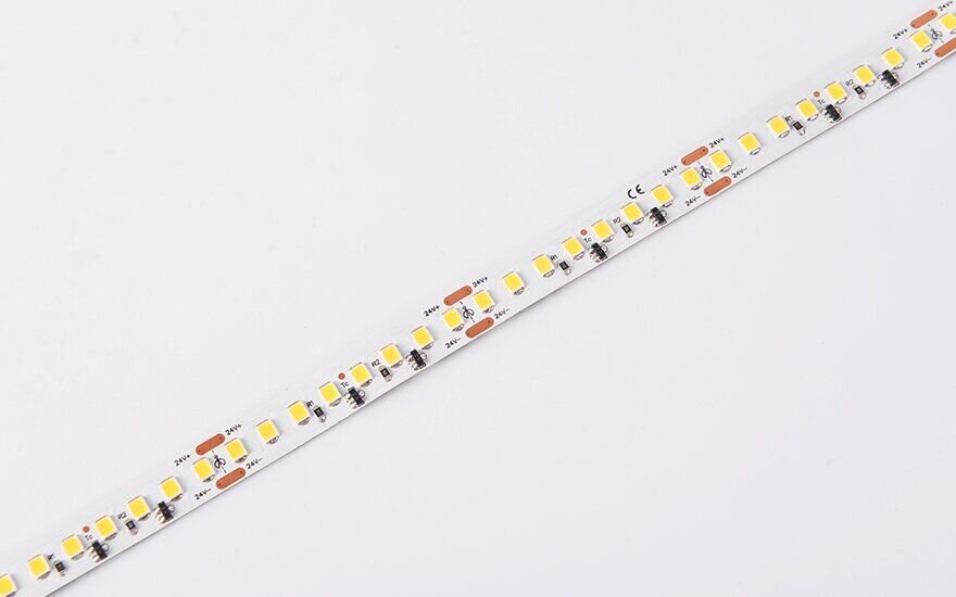 DS8160-24V-10mm-WW