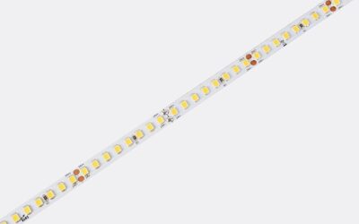 D8160-24V-8mm-NW