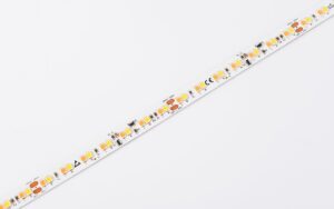 DS8168GWWW-24V-10mm
