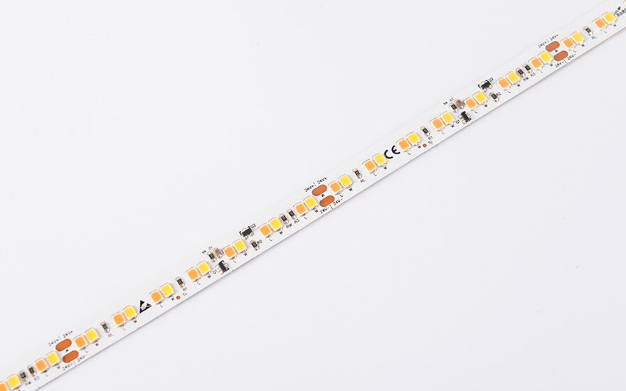 DS8168GWWW-24V-10mm