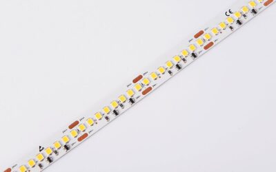 DS8192-24V-12mm-WW