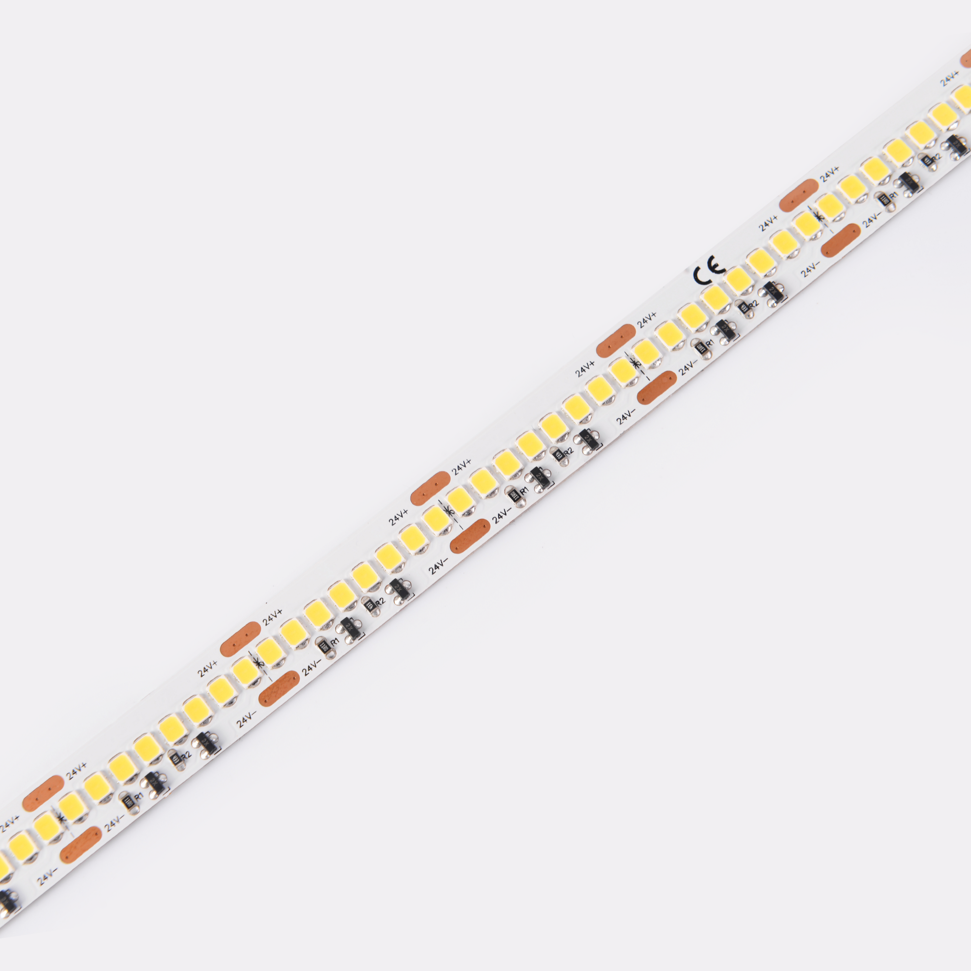 DS8256-24V-12mm-NW