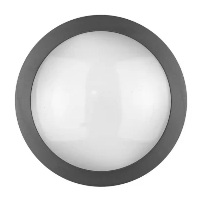 MOON VIOLUX