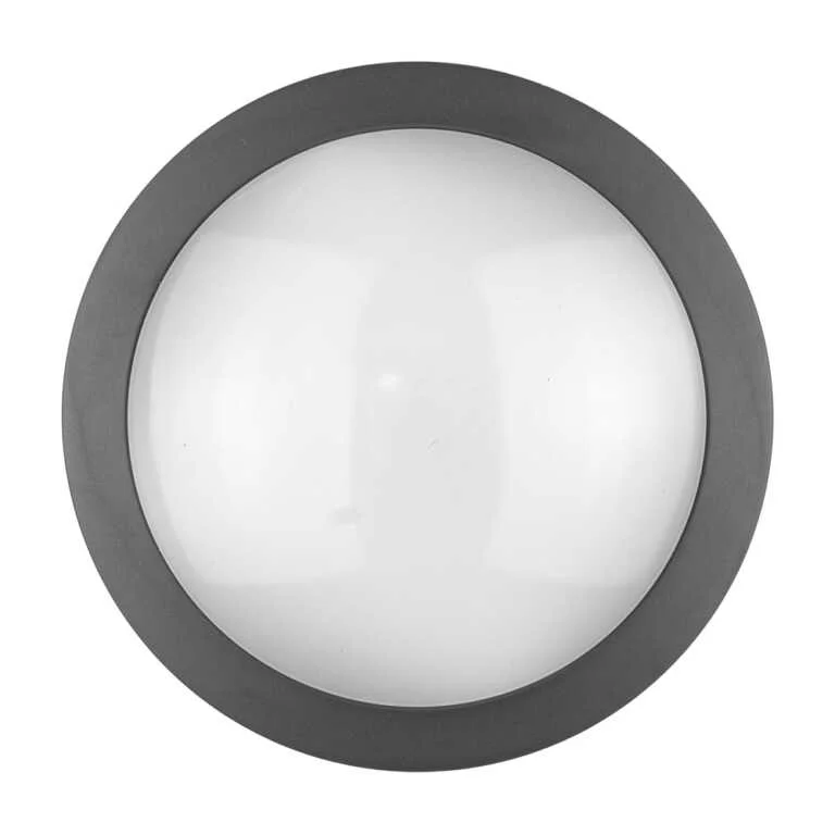 MOON VIOLUX