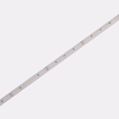 DS980-24V-10mm