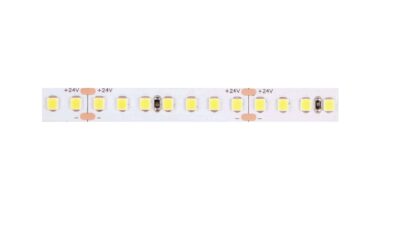 V2835-168-V24-NWP-W20-COXO