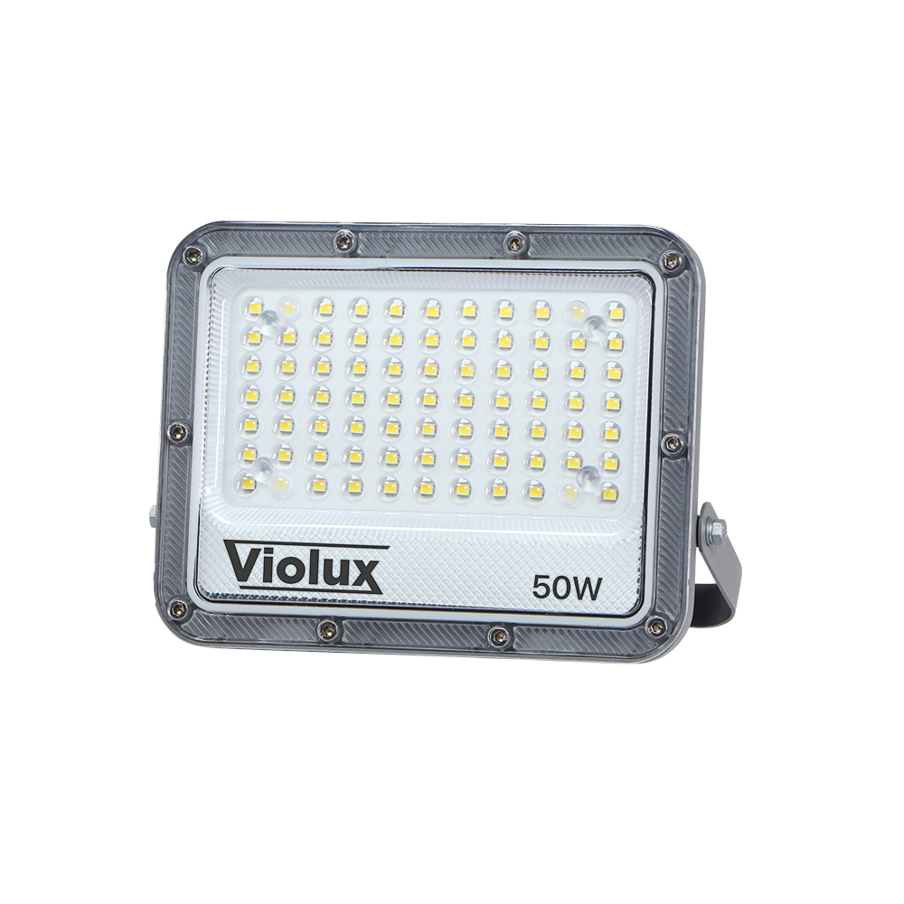 Carbon-Violux-50W-5000K-400162