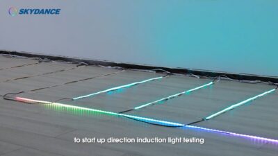 ES24-Skydance-Stair-Light-Controller-Dynamic