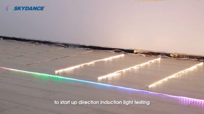 ES24-Skydance-Stair-Light-Controller-Dynamic