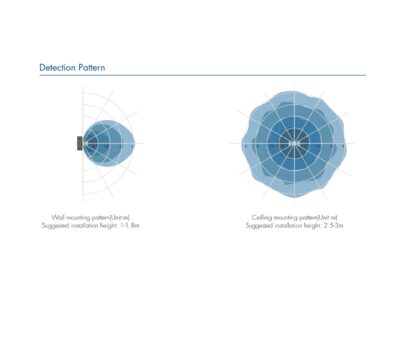 V3-PE-Skydance-Detection-Pattern
